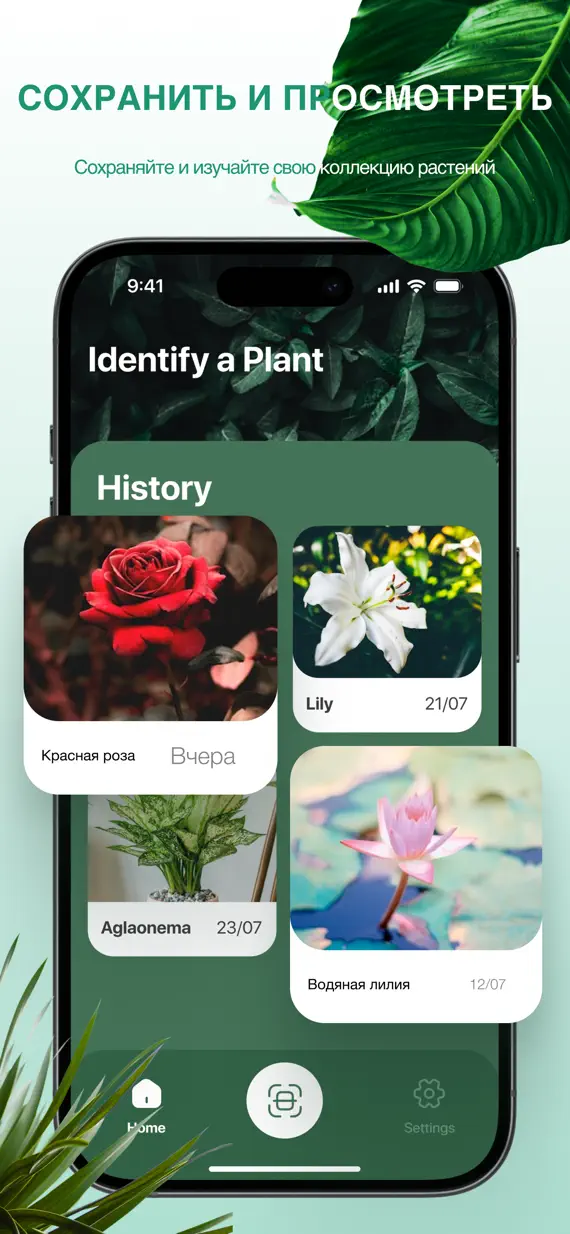 PlantExpert Leaf Identifier screenshot 3