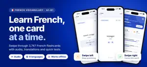 French Flashcards: Vocabulary screenshot 1
