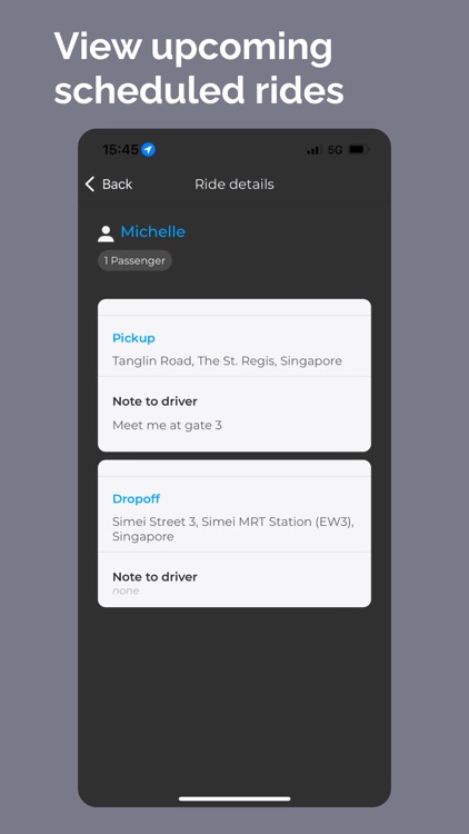 Strides - Driver screenshot-3
