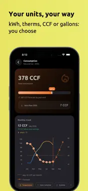Meter Reading: Utility Tracker screenshot 6