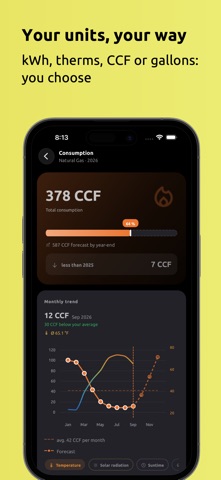 Meter Reading: Utility Tracker Screenshot 6 of 8