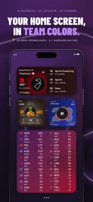 Purple Sector: F1 Widgets screenshot 3