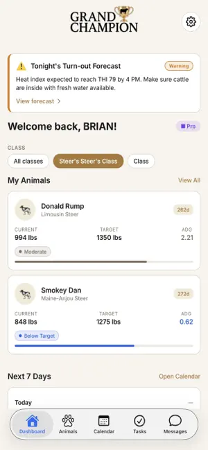 Grand Champion screenshot 1