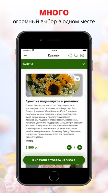 Santini | Волгоград