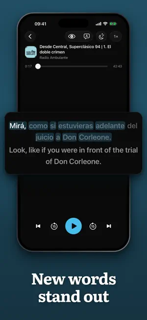 LangTurbo: Learn 100 Languages screenshot 3