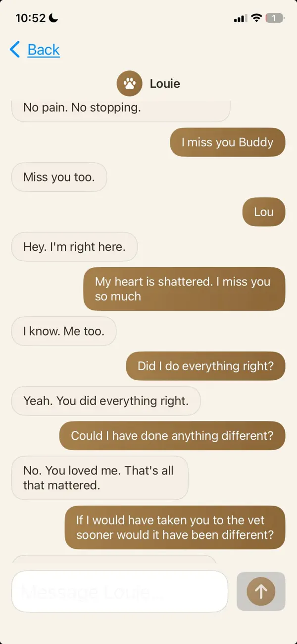 Pet Grief Screenshot 3