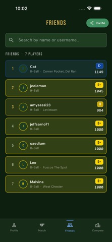 Open Pool League Screenshot 8 of 9