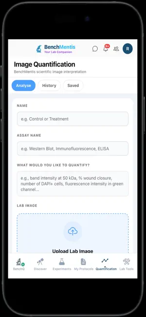 BenchMentis screenshot 4