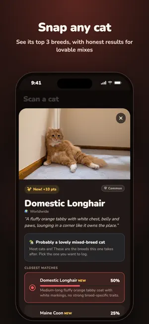 CatDex screenshot 2