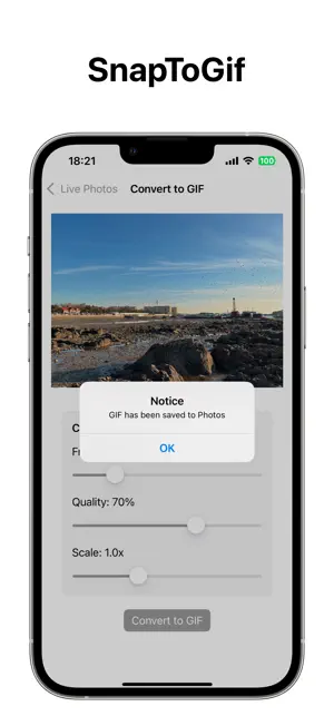 SnapToGif screenshot 3