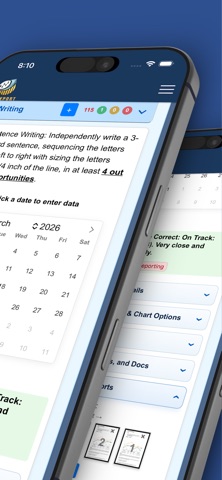 IEP Report screenshot