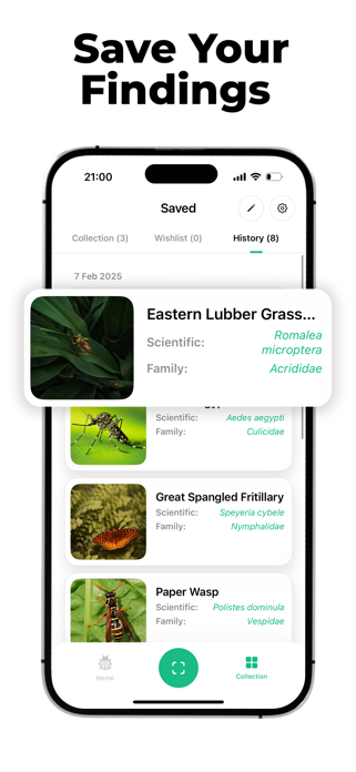 Insect ID - Bug Finder Screenshot 4 of 6