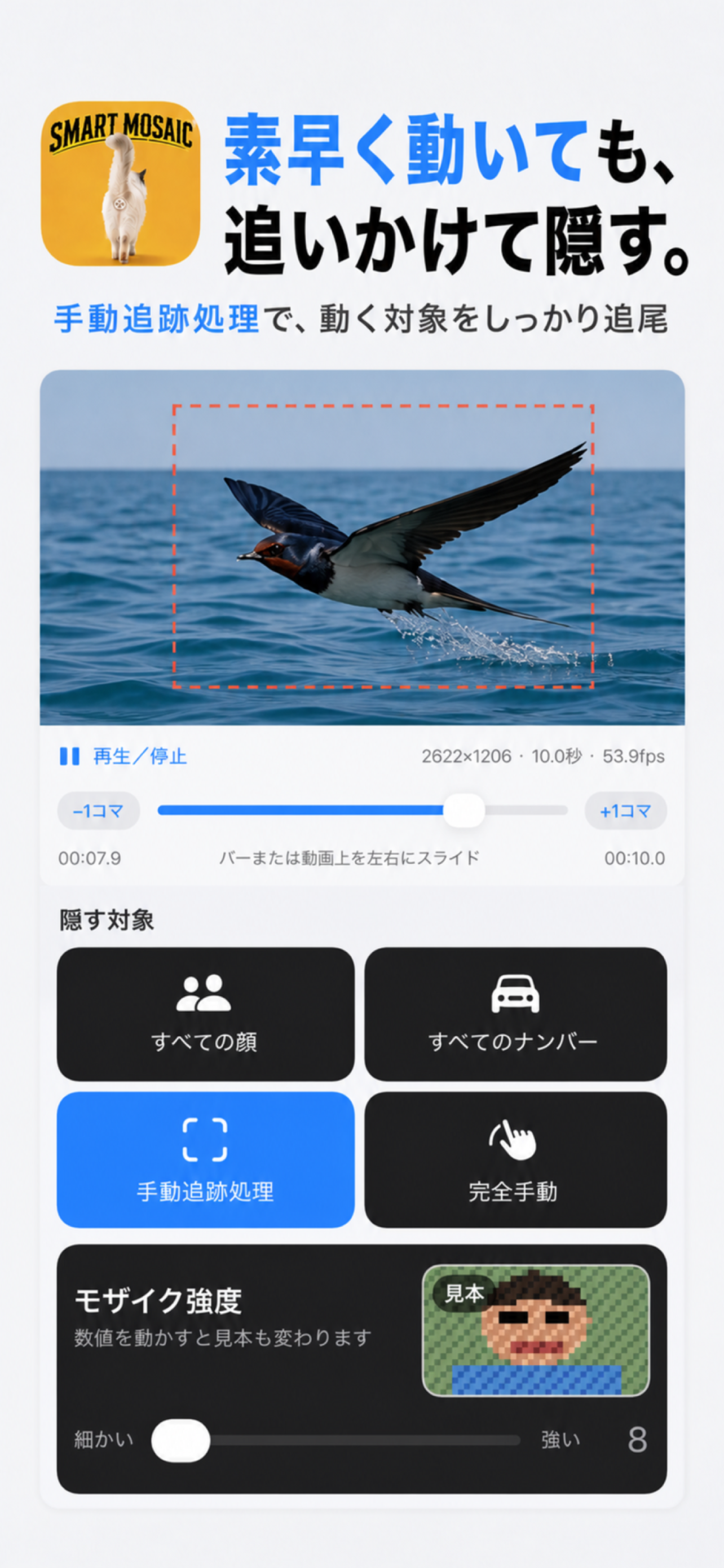 SMART MOSAIC: Private Blur screenshot 3