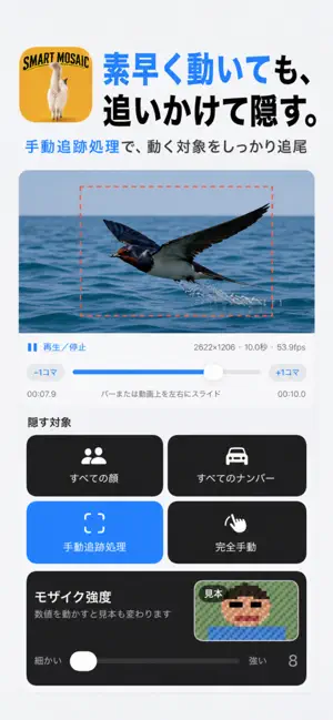 SMART MOSAIC: Private Blur screenshot 3