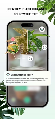 PlantDaily: AI Plant Care iPhone screenshot