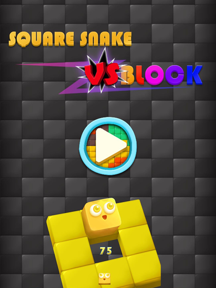 Square Snake - Endless Runner