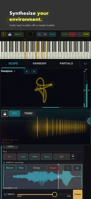 Beat Kitchen Harmonic Synth screenshot 2