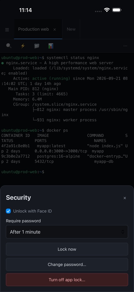 #3. SSH Console (iOS) โดย: Zion Apps