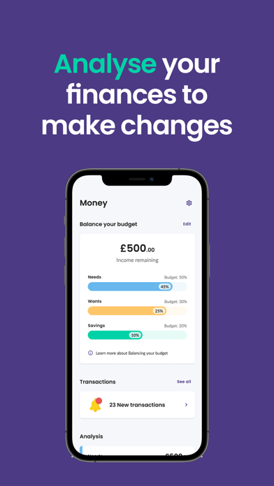 Bippit - Financial Wellbeing Screenshot
