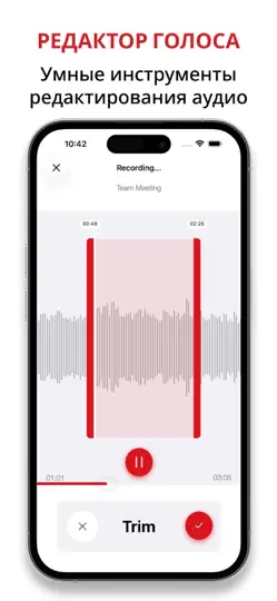 Скриншот диктофон : Voice Recorder App на iPhone 4