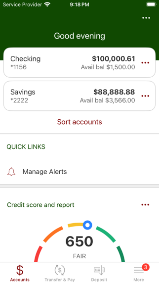 Citizens Bank Montana iBanking Screenshot