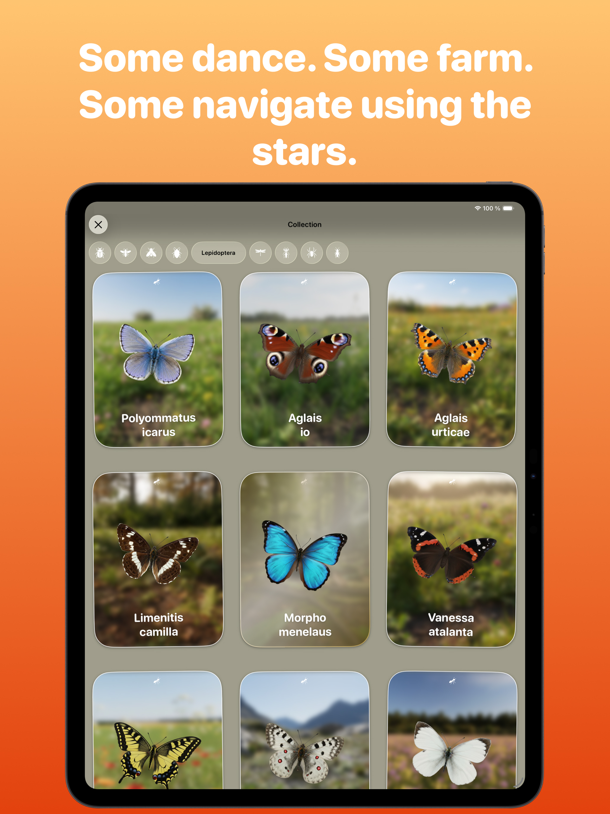 Bugsy – Insect Collection Quiz screenshot 8