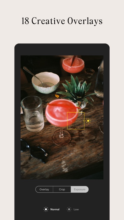 Tone Studio Photo & Vid Editor screenshot-5