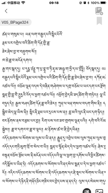 班智达智慧藏医