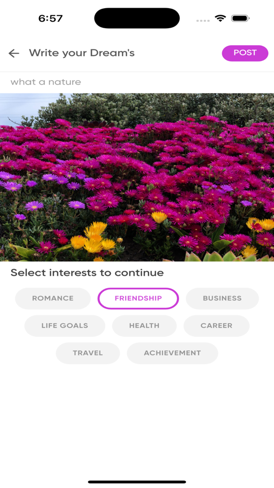 #8. Dreamsocial and live streaming (iOS) 由: Jocelyn Girier Dufournier