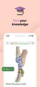 Vetflow - Learn Anatomy screenshot