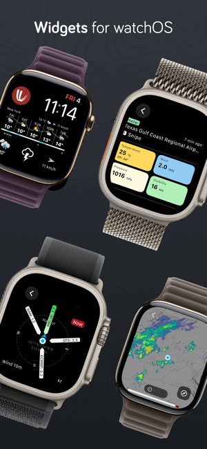 Windy.com Screenshot