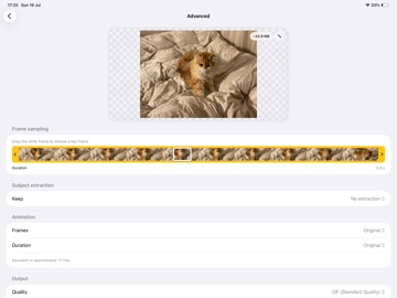 to-GIF iPad screenshot