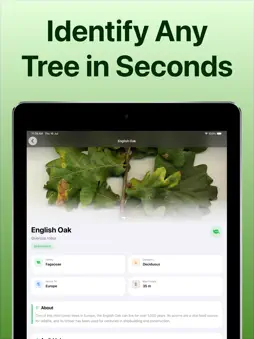 Tree Identifier: Tree id screenshot 7