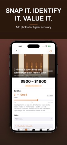 Antique Valuator iPhone screenshot