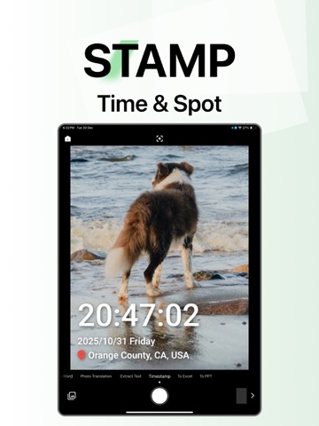 Lens - PDF Scanner, PDF Reader iPad screenshot