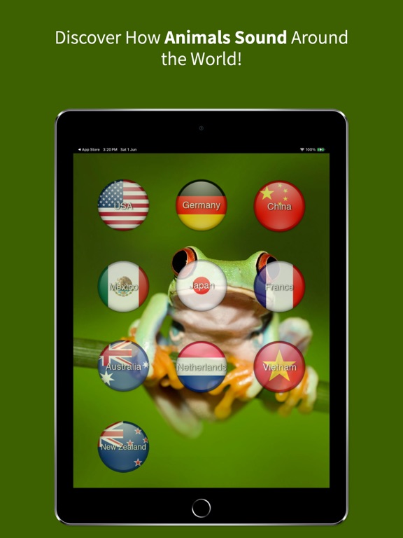 Screenshot #4 pour Animal Sounds Translator