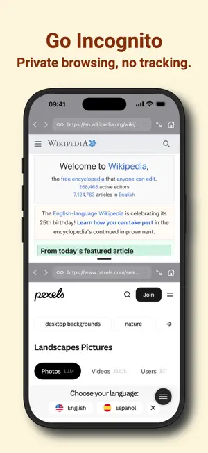 Split Screen Web Browser screenshot 3
