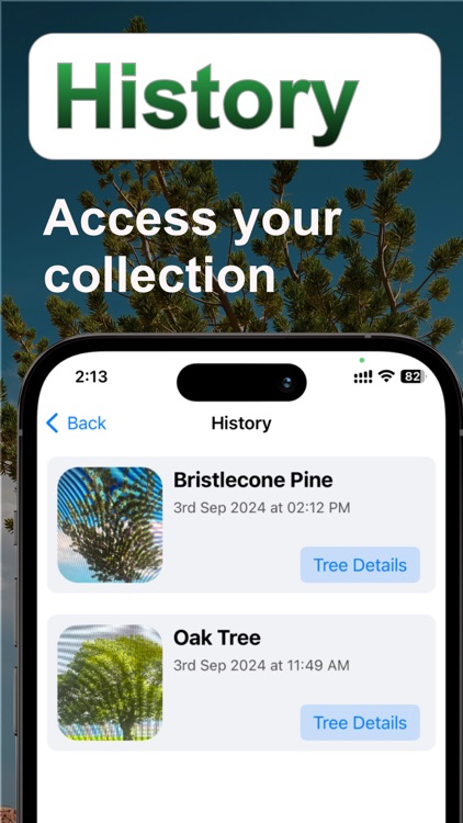 Tree Identifier: Tree id screenshot-3