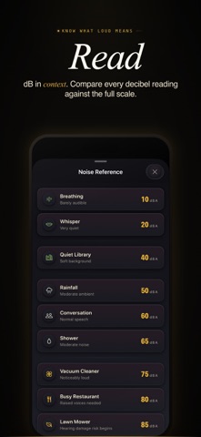 Decibel Pro: dB Sound Meter iPhone screenshot