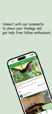 Butterfly: Identify, Search screenshot