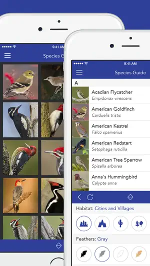 iKnow Birds PRO screenshot 2