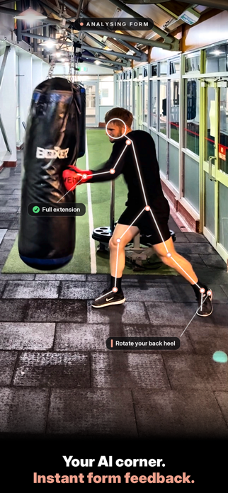 Boxerium Screenshot 2 of 4