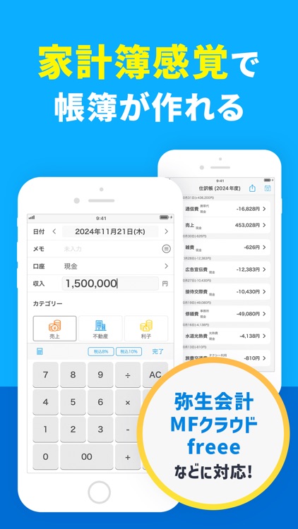 Small Biz Budget - Accounting