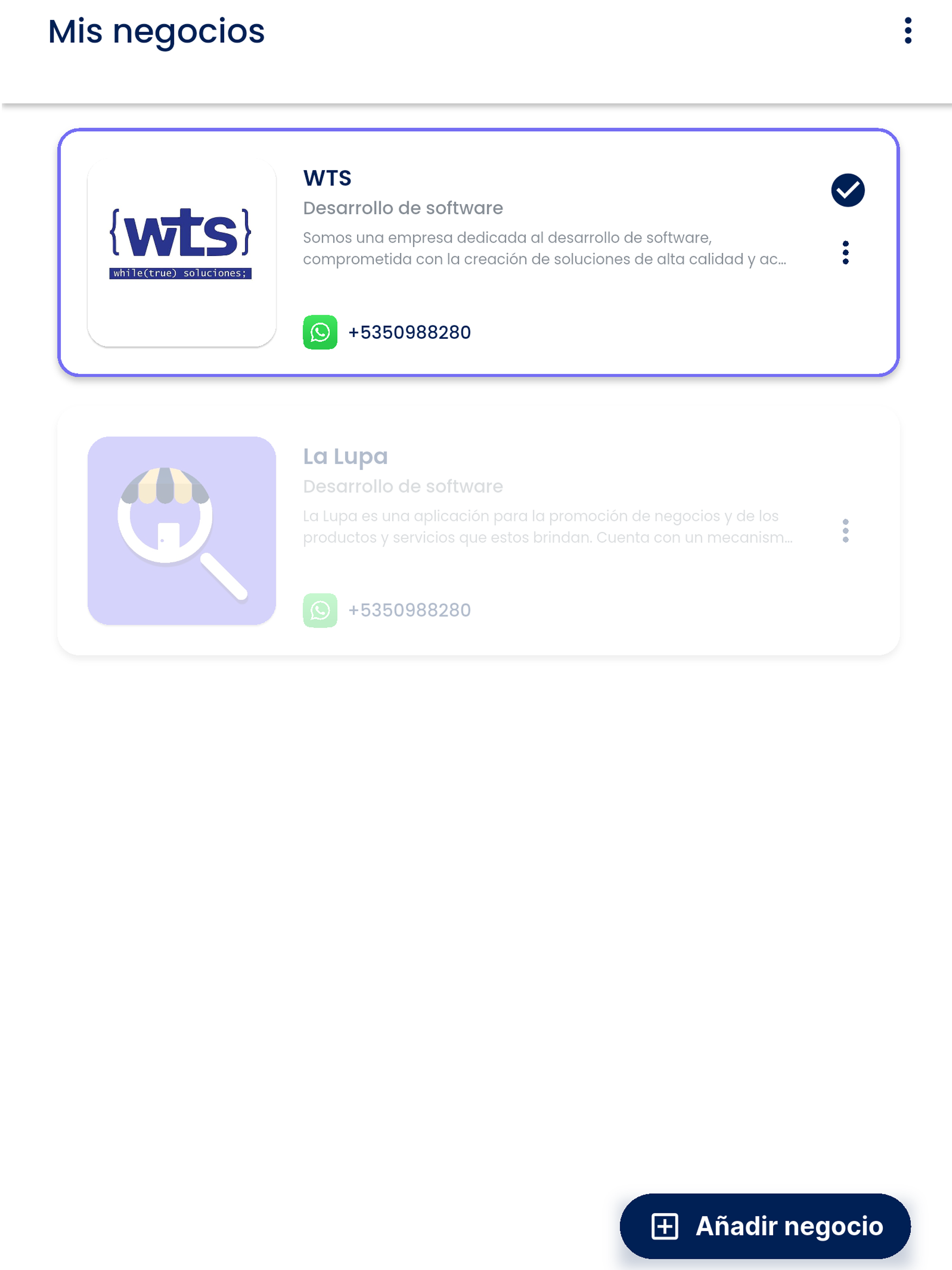 La Lupa Business screenshot 7