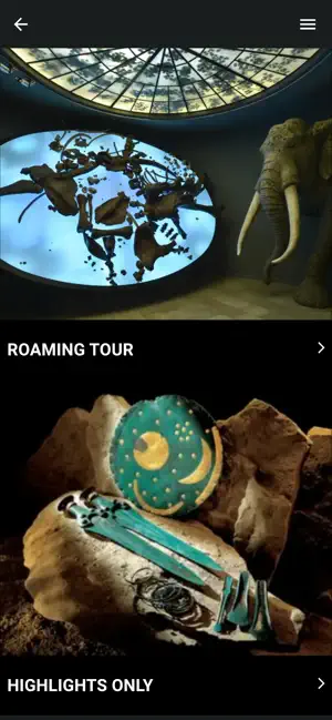 Landesmuseum Halle Audioguide screenshot 1