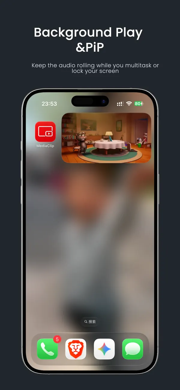Screenshot #1 pour Bravo - PiP &WebVideo Playlist