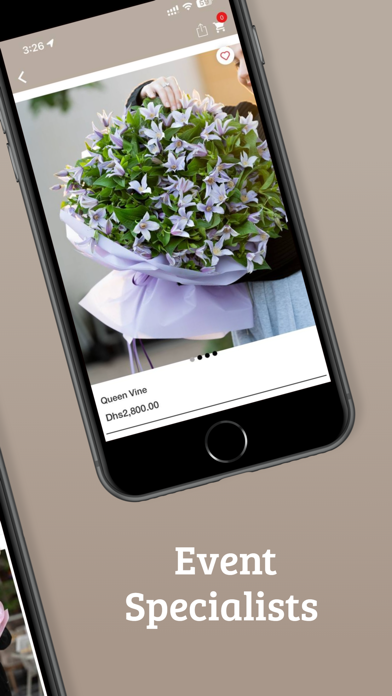 Tulip Flowers Screenshot