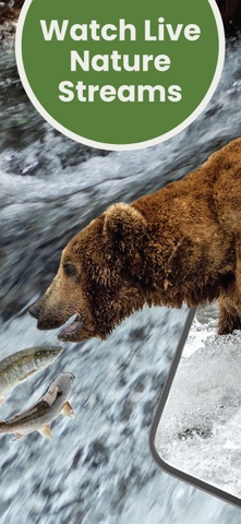 Explore.org: Live Animal Cams Screenshot 1 of 8