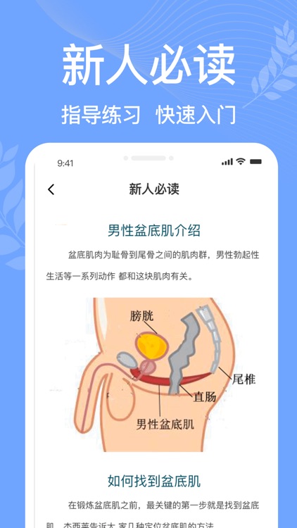 凯格尔运动pro - pc肌，盆底肌修复锻炼