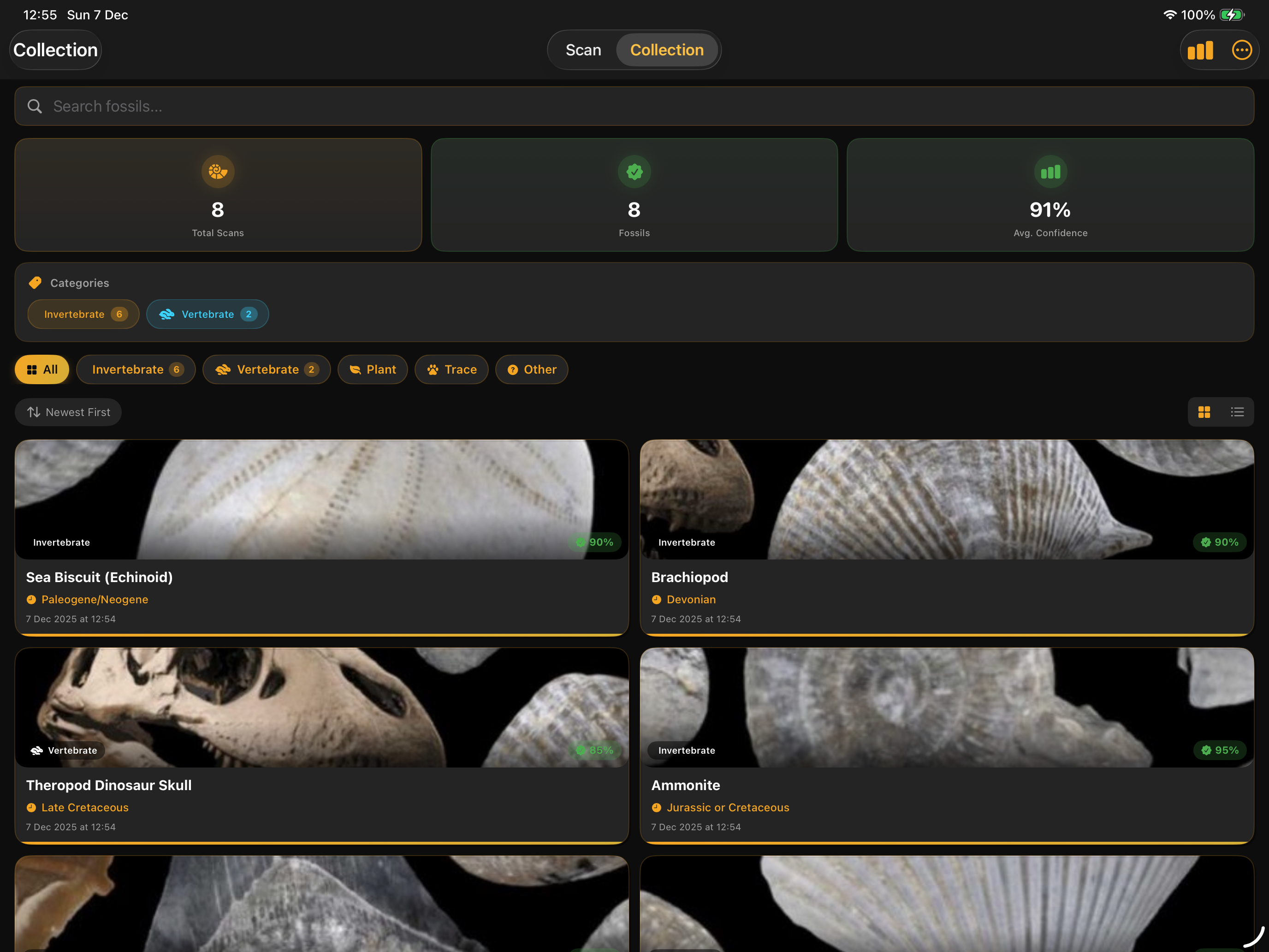 Fossilise screenshot 15